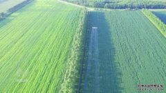 焦点访谈丨稻菽千重浪科技助丰年