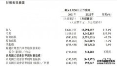 理想汽车2022年上半年净6.26亿元同比扩大16.7%