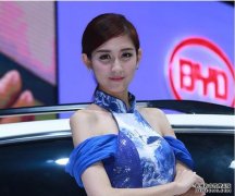 打败特斯拉，比亚迪上半年全球第14，新能源排第1名