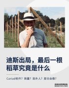 迪斯出局，大众汽车最后一根稻草究竟是什么